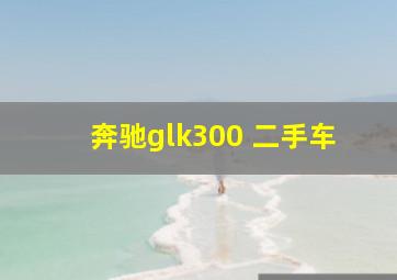 奔驰glk300 二手车